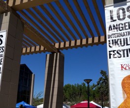 There Were No Hipsters at the Ukulele Festival I Attended