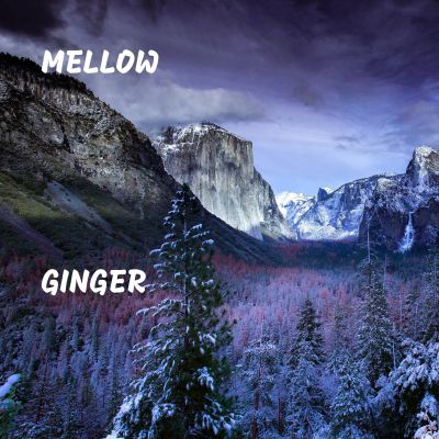 mellow ginger