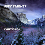 joey starmer
