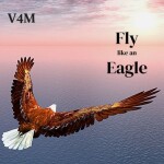 v4m fly